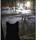 Татьяна Тарасенко