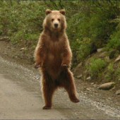 Михаил Санкт-Петербург