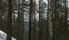 ламбаев жаргал