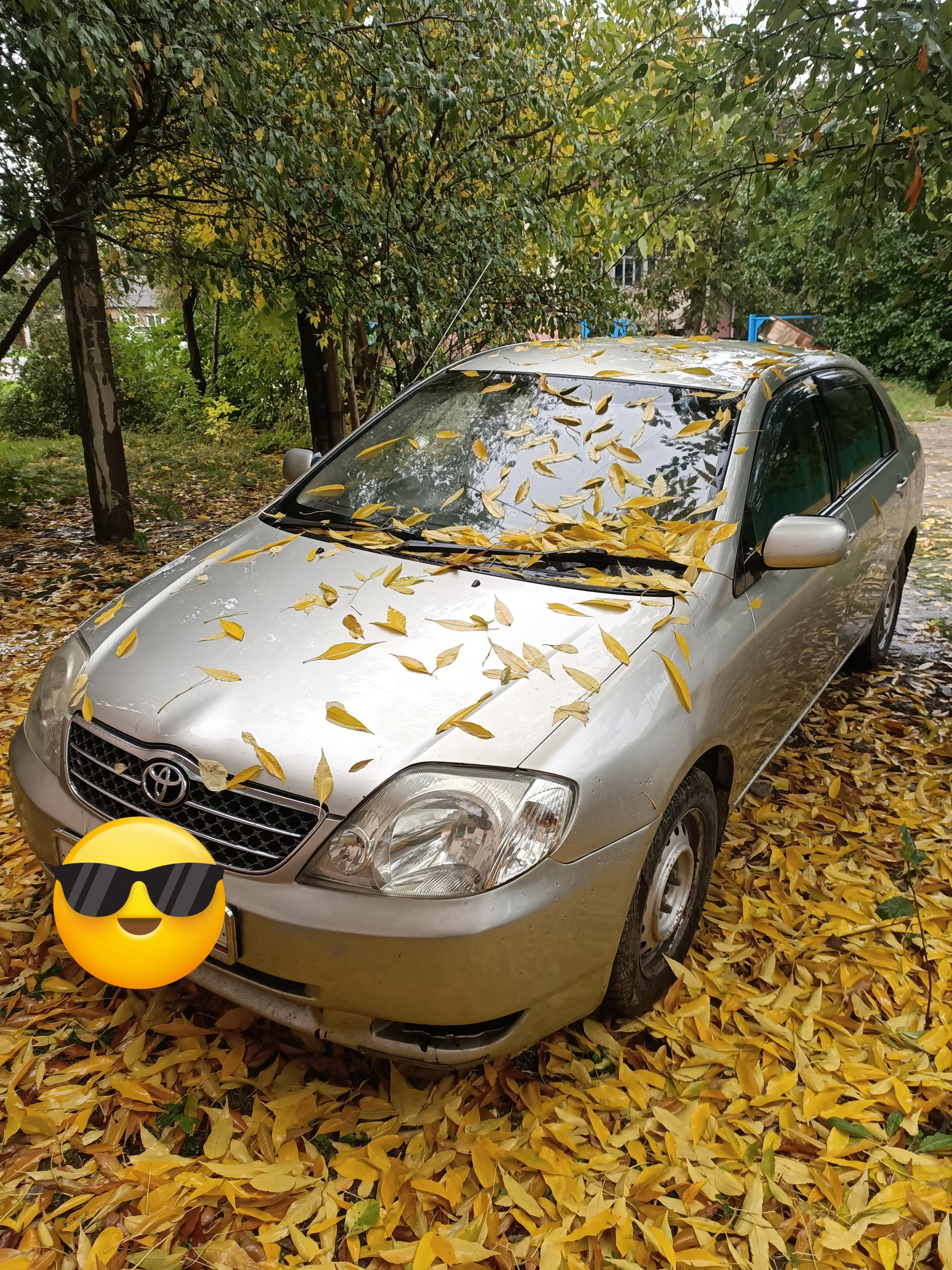 Toyota&amp;nbsp;Corolla